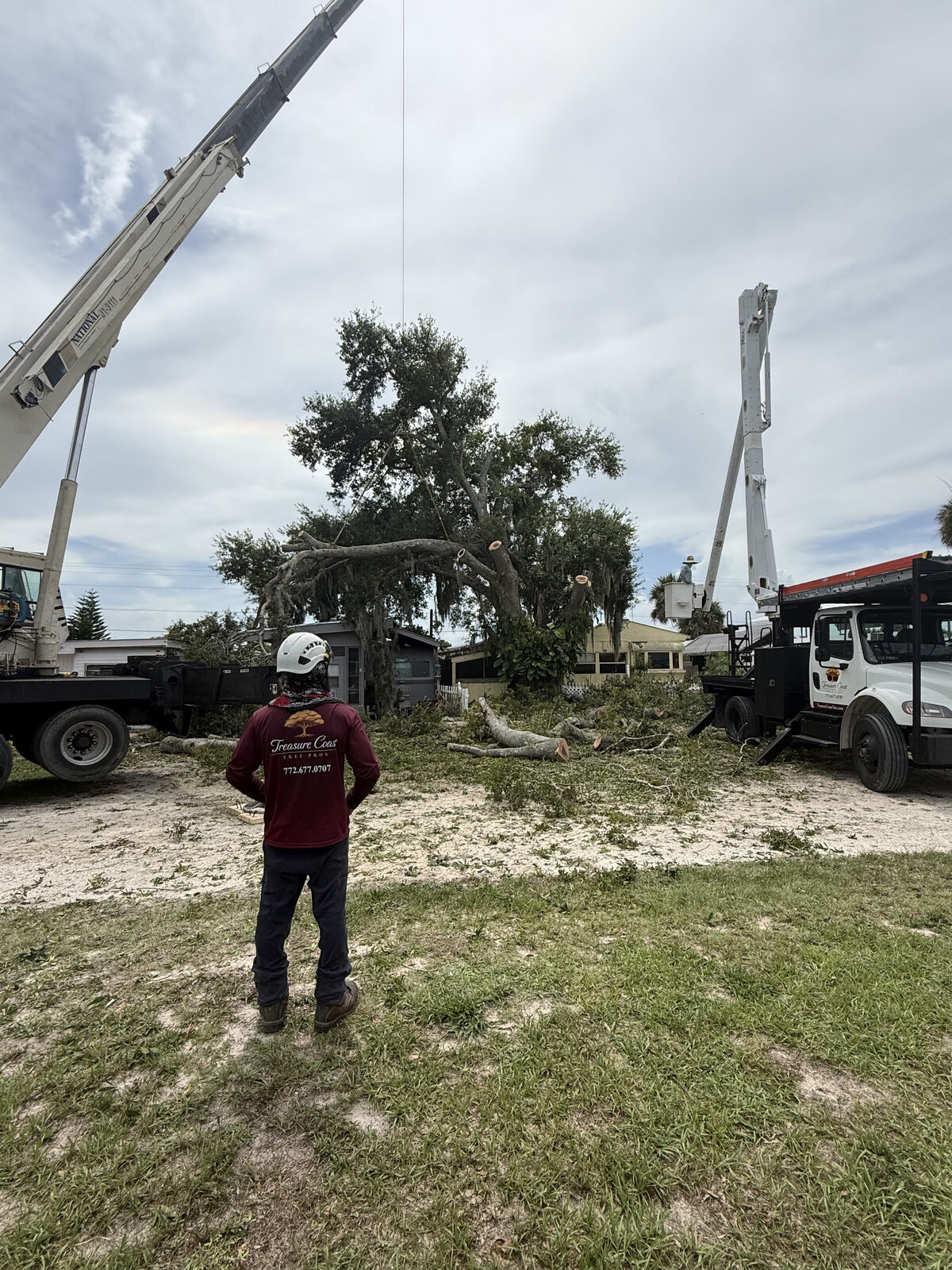 Tree service crew completing a large removal job with a crane