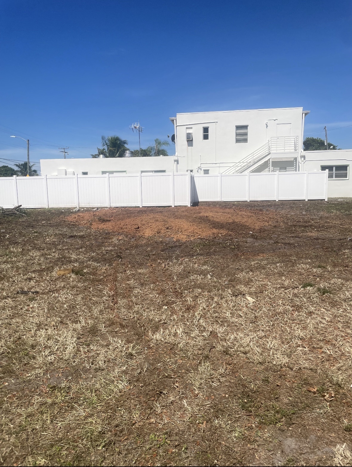 Cleared property after strangler fig removal and cleanup in West Palm Beach, Florida
